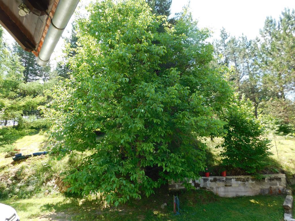 Holiday Home Lana Saborsko Bagian luar foto